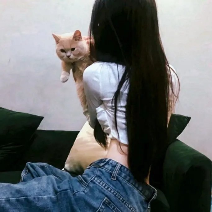 杀母疑案
